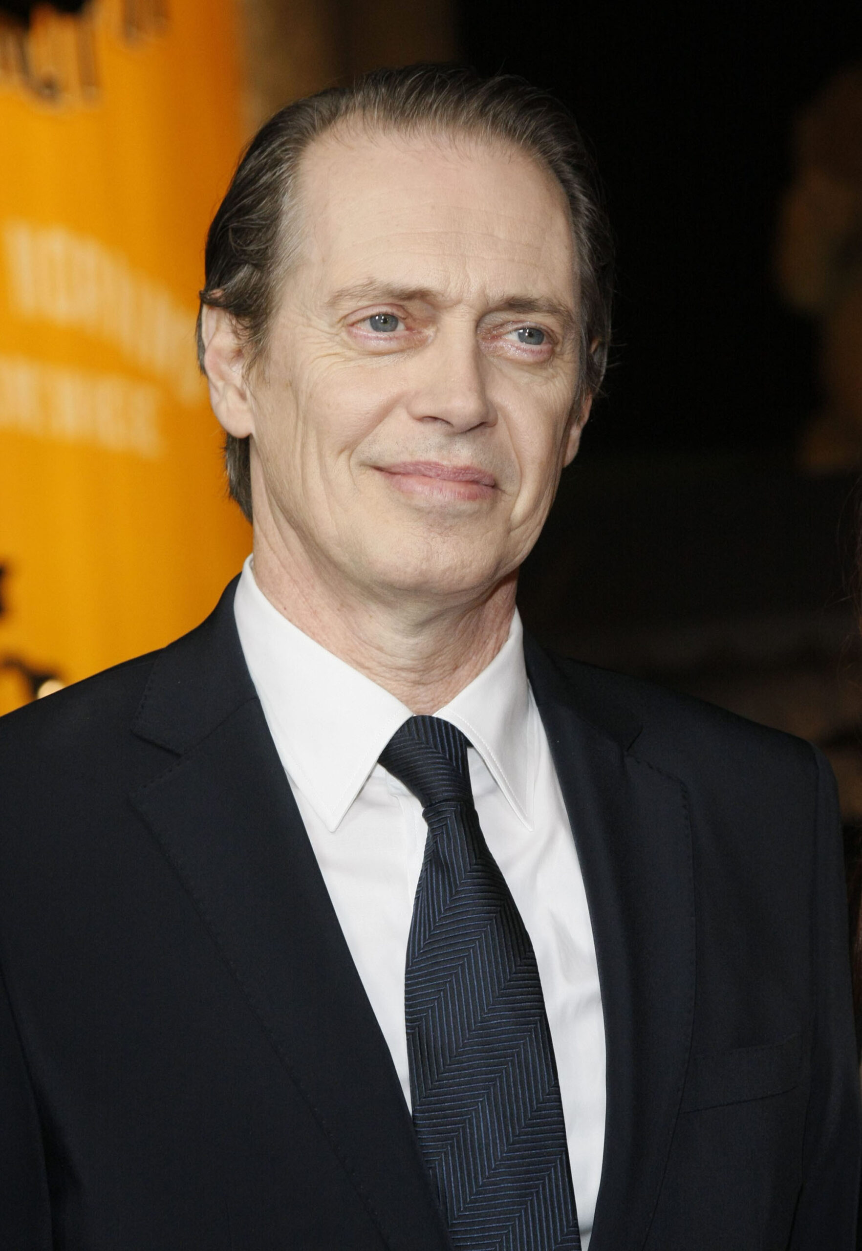 Steve Buscemi Who2